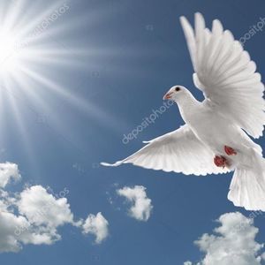 Meet your Posher, Melina